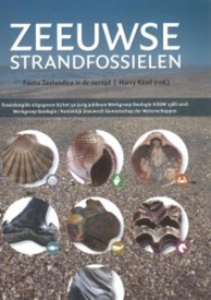 Natuurgids Zeeuwse strandfossielen | de Drvkkery Schrijverspodium