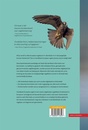 Natuurgids Handboek Europese vogels SET | KNNV Uitgeverij