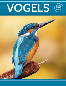 Natuurgids Vogels | Rebo Productions