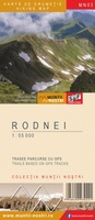 Rodnei