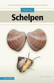 Natuurgids Schelpen | KNNV Uitgeverij