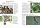 Natuurgids a Naturalist's guide to the Birds of Sri Lanka | John Beaufoy