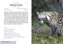 Natuurgids Kruger Wildlife | HPH Publishing